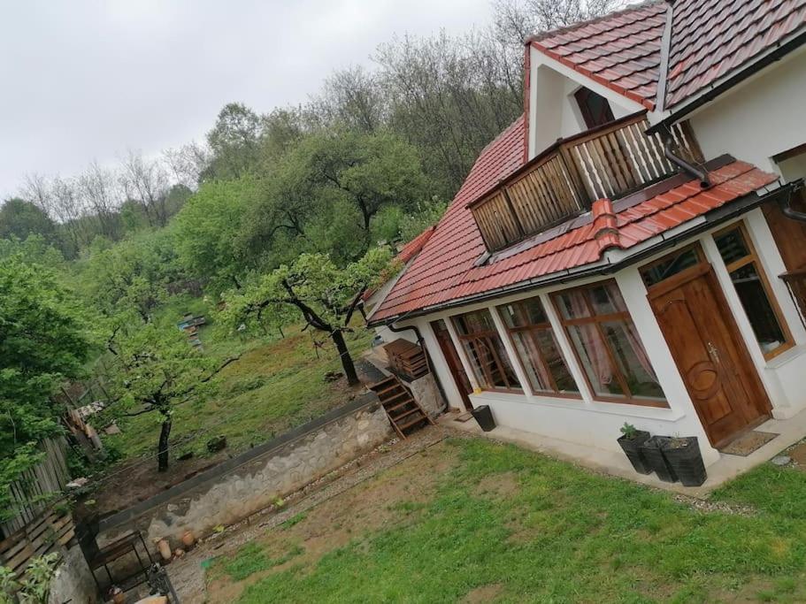 Casandi Ciresu Dış mekan fotoğraf